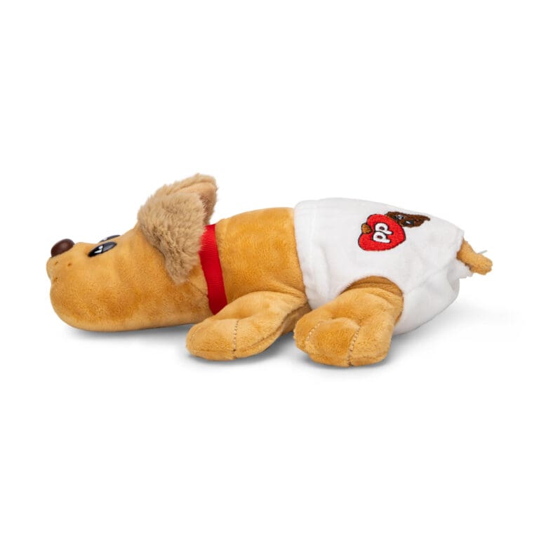 Golden short eared puppy newborn in diaper.