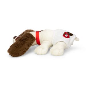 Cream long eared puppy newborn in diaper.