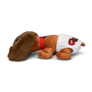 Reddish Brown puppy newborn in diaper.