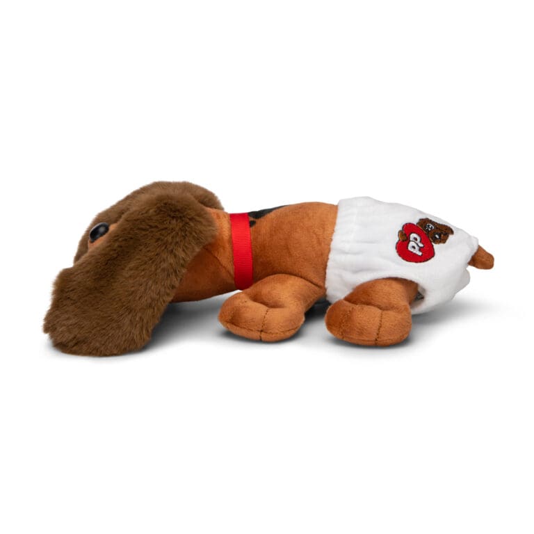 Reddish Brown puppy newborn in diaper.