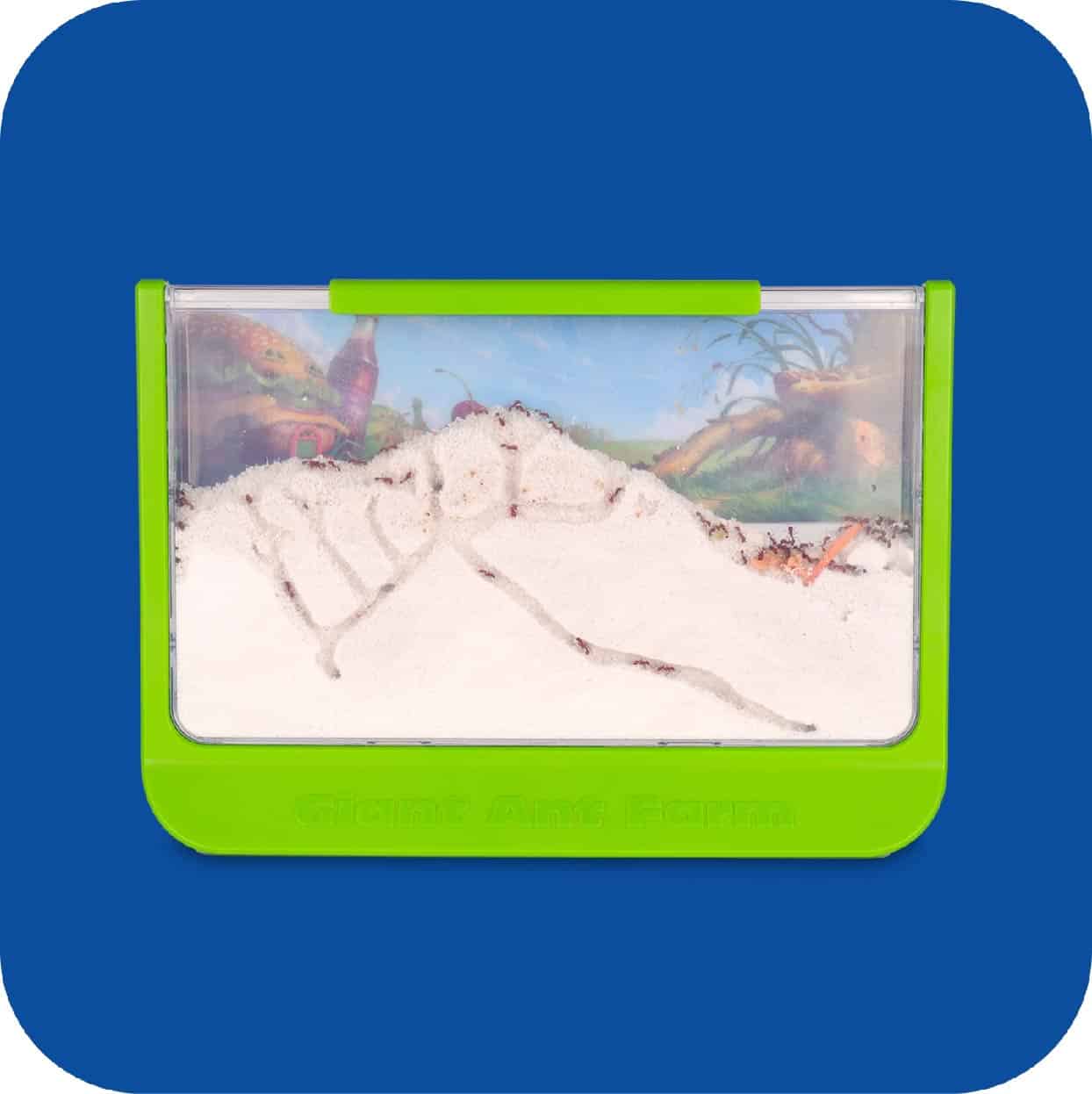 Uncle Milton Ant farm