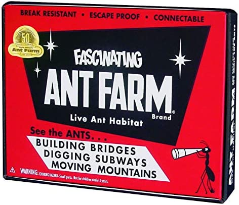 retro ant farm