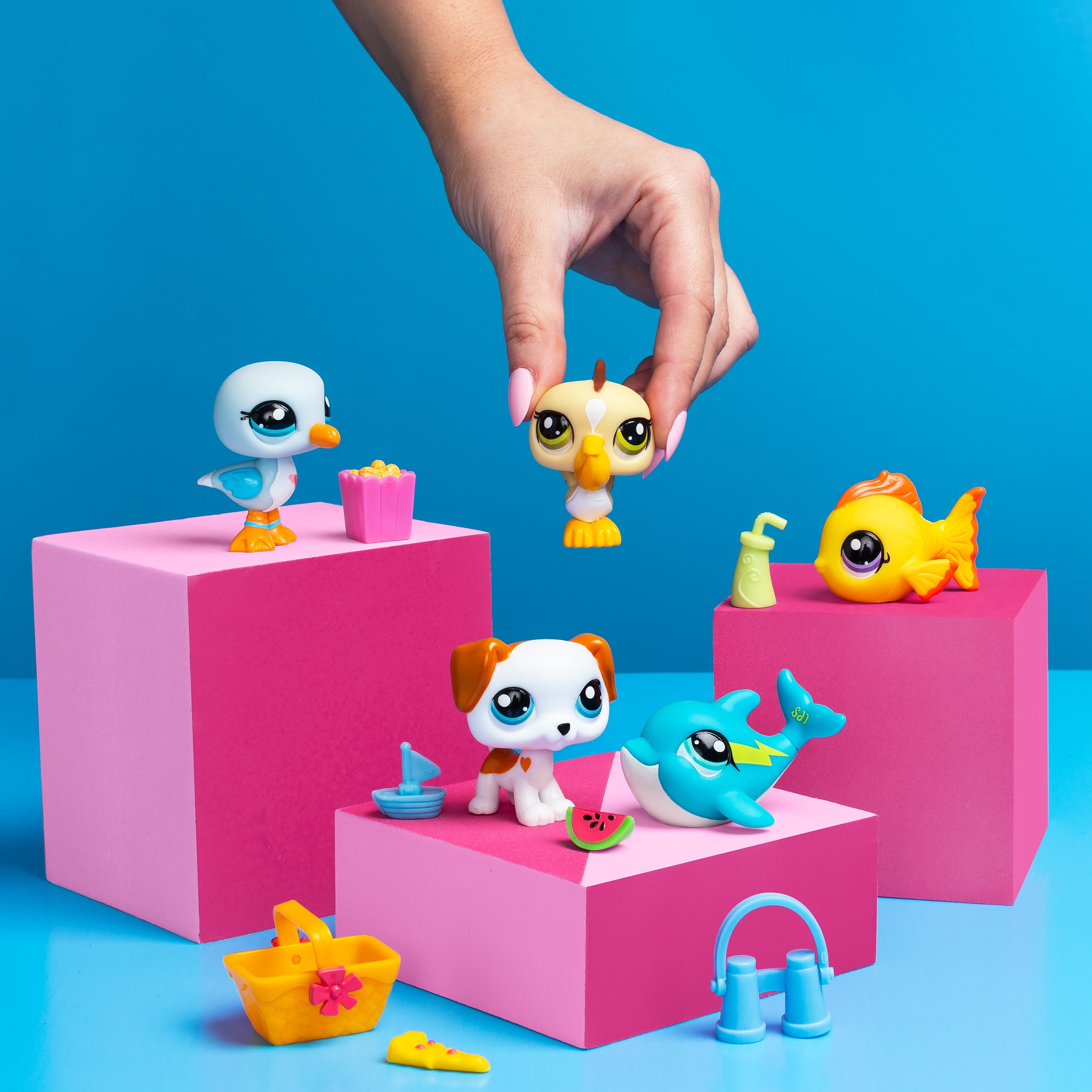 Littlest Pet Shop: Beach Friends review: Littlest Pet Shop: Beach